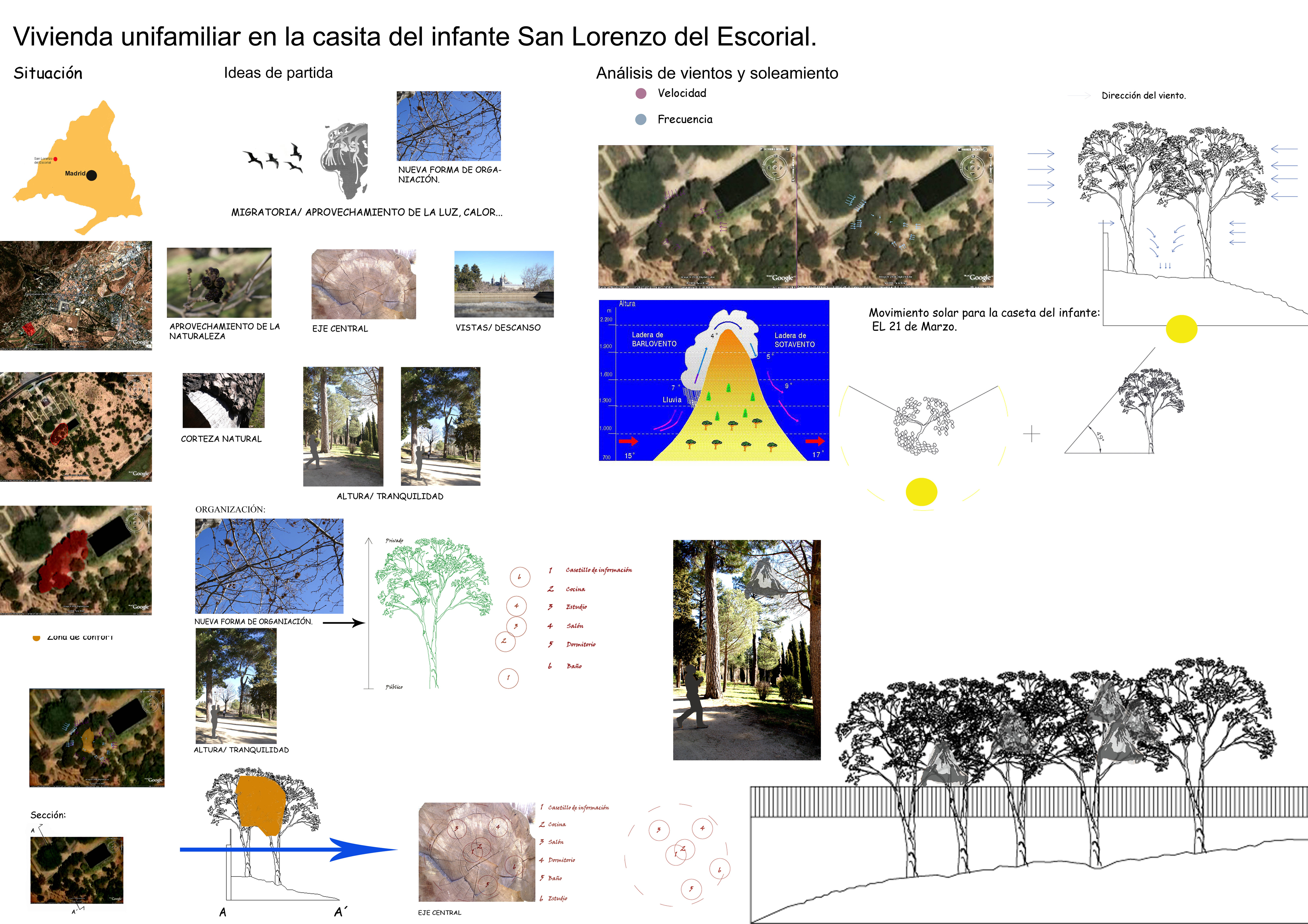 Home on a tree A home on a tree